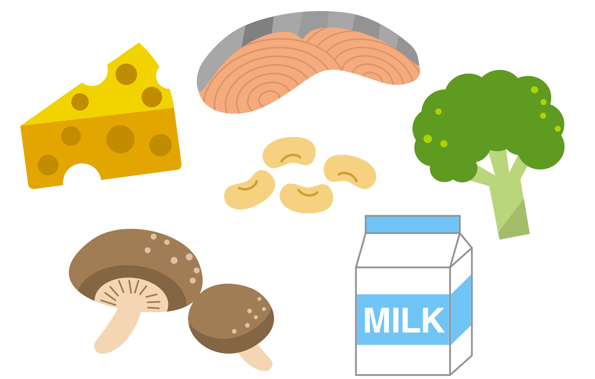 骨粗鬆症の方の食事