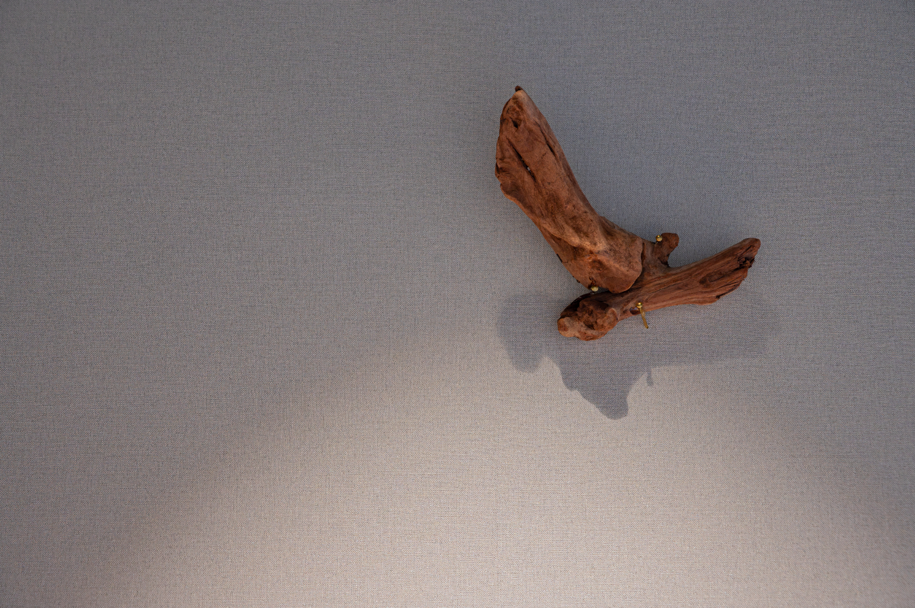 なかしま内科循環器・整形外科クリニック(西宮院)の化粧室